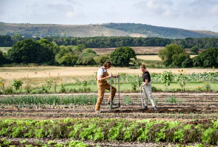 Coppia che contribuisce ad un lavoro agricolo