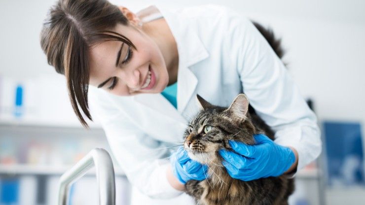 Dottoressa con gatto