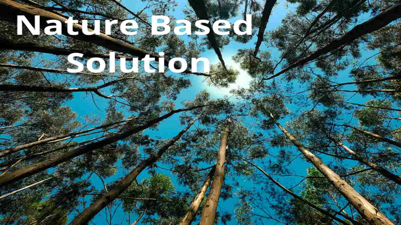 Nature Based Solution