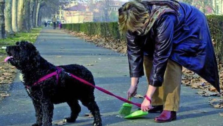 Raccogliere i bisogni del cane