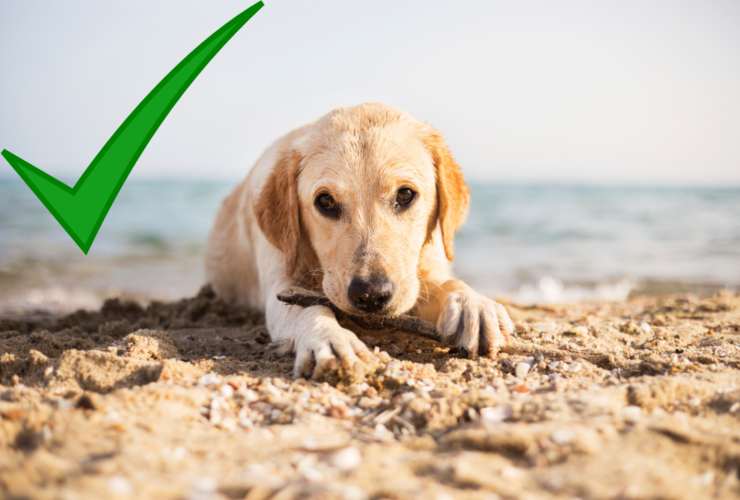 Cosa si può fare sulla spiaggia