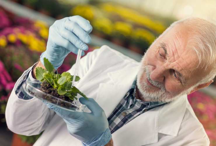 Il lavoro di botanico