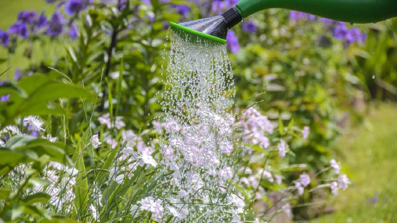 acqua in giardino