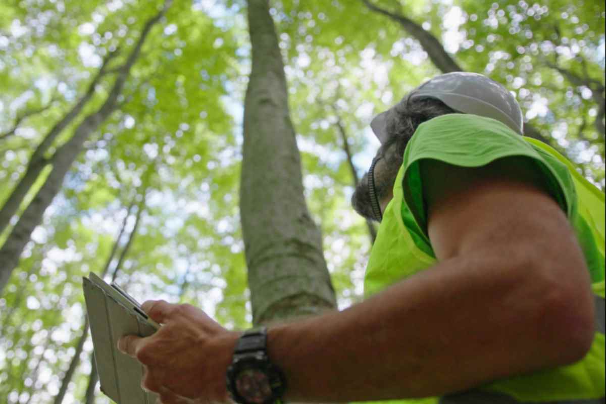 I lavori più pagati in Italia: il primo non te lo immagini neanche